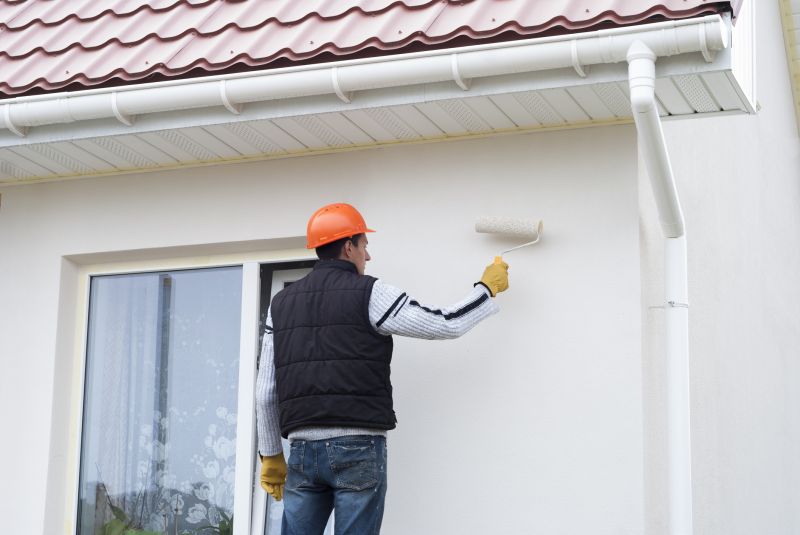 Wood Cladding Painting in Fort Collins, CO